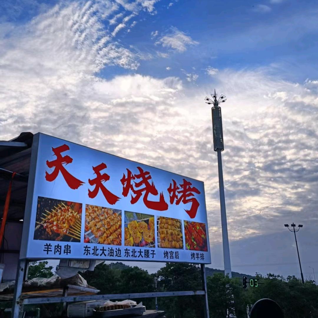 爱上雷龙