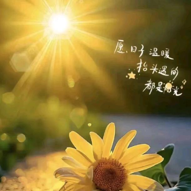 珍惜拥有