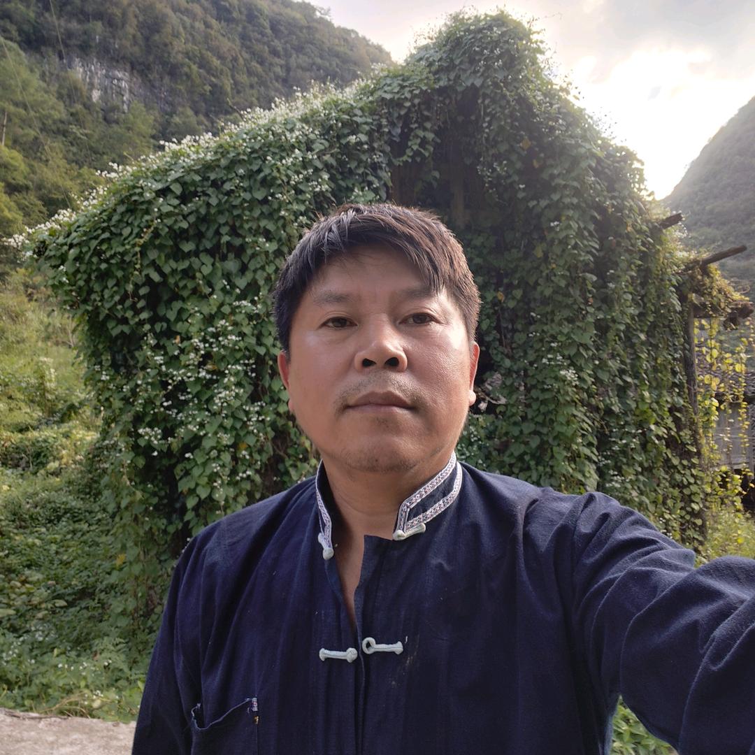 青山艺人