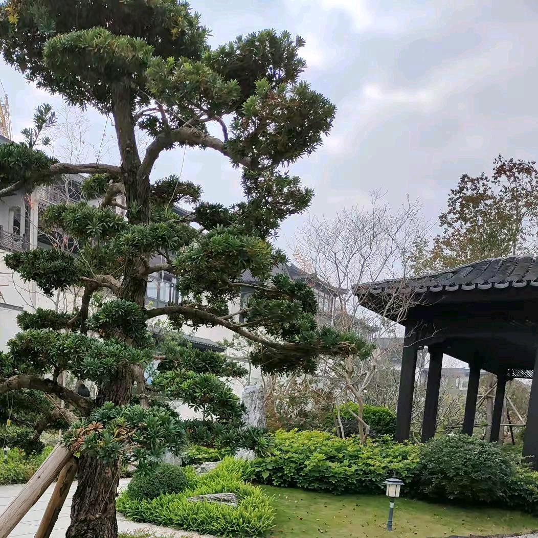 《沉思进取》