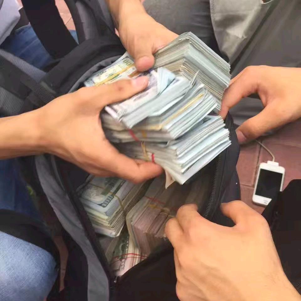 酒泉小马牛羊交易