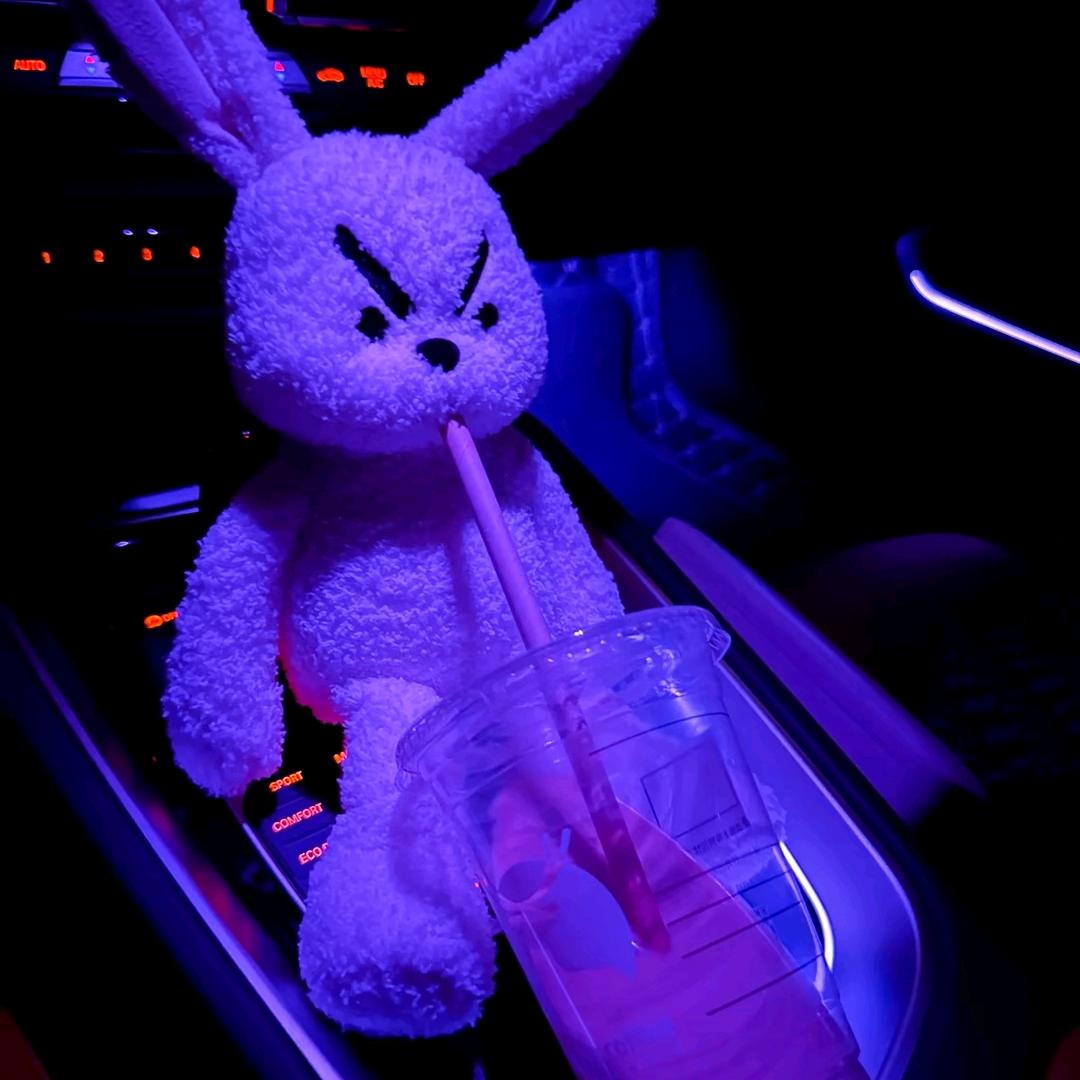 西装暴徒～🐂🦓