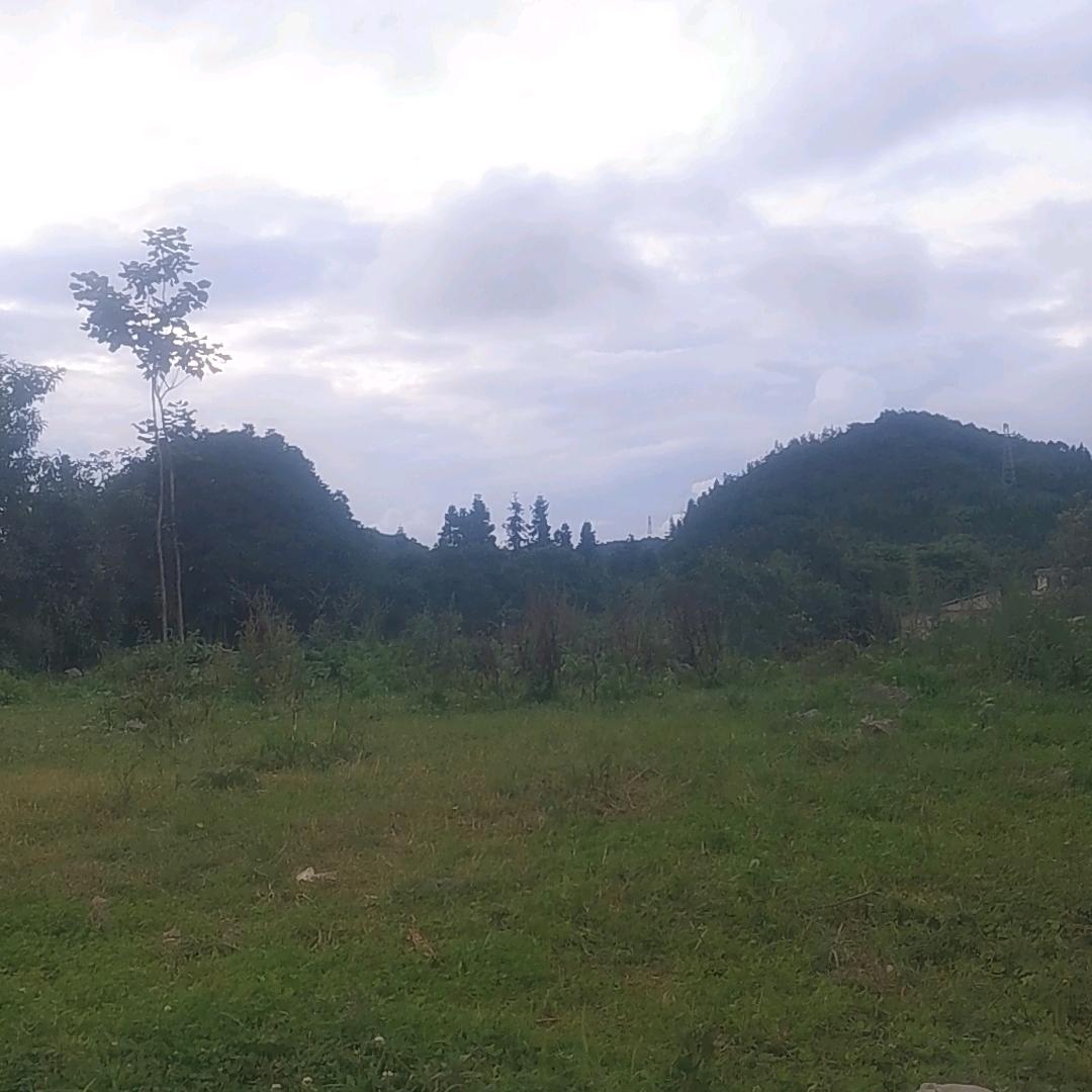 黔兴农民小哥