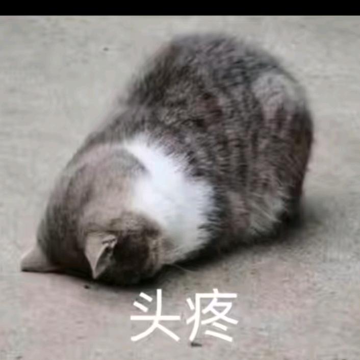 半醉半醒半浮生