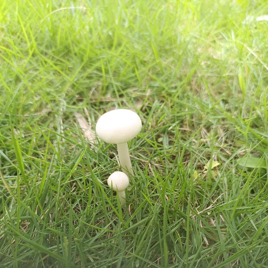 ✎﹏ℳ๓₯㎕❦追梦う