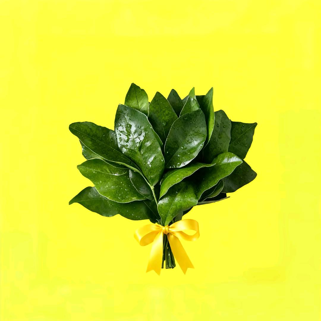 ❤️: 一个哒不刘