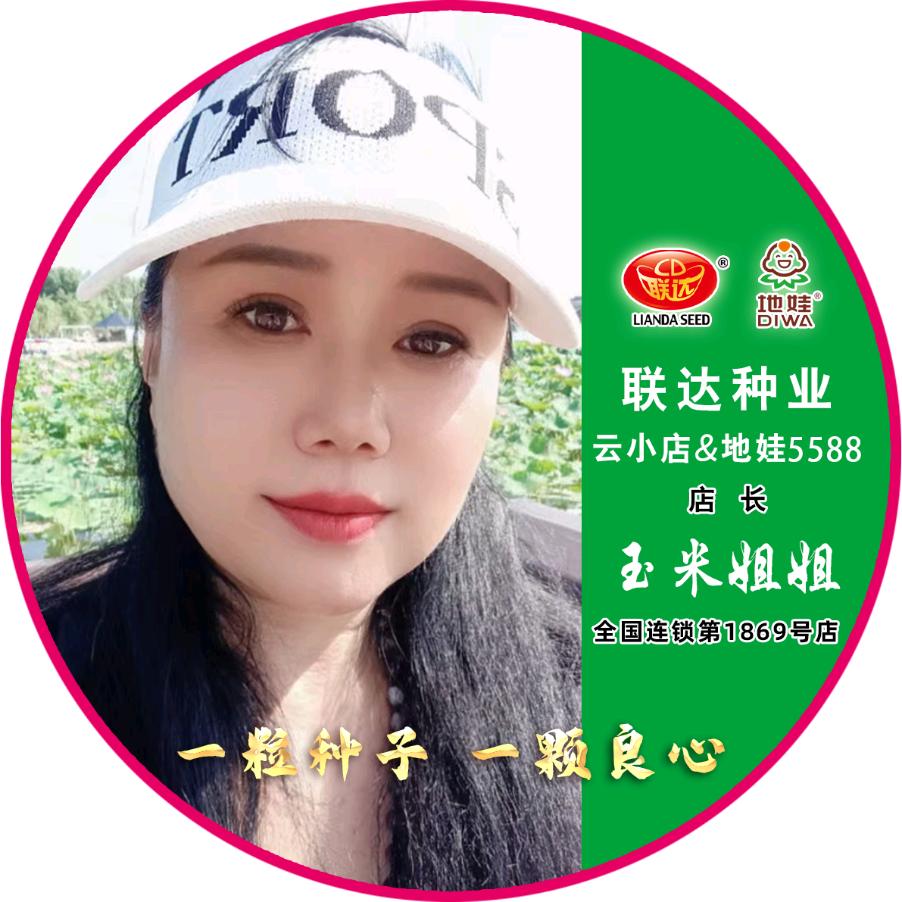 联达阜新云小店-慧农农资