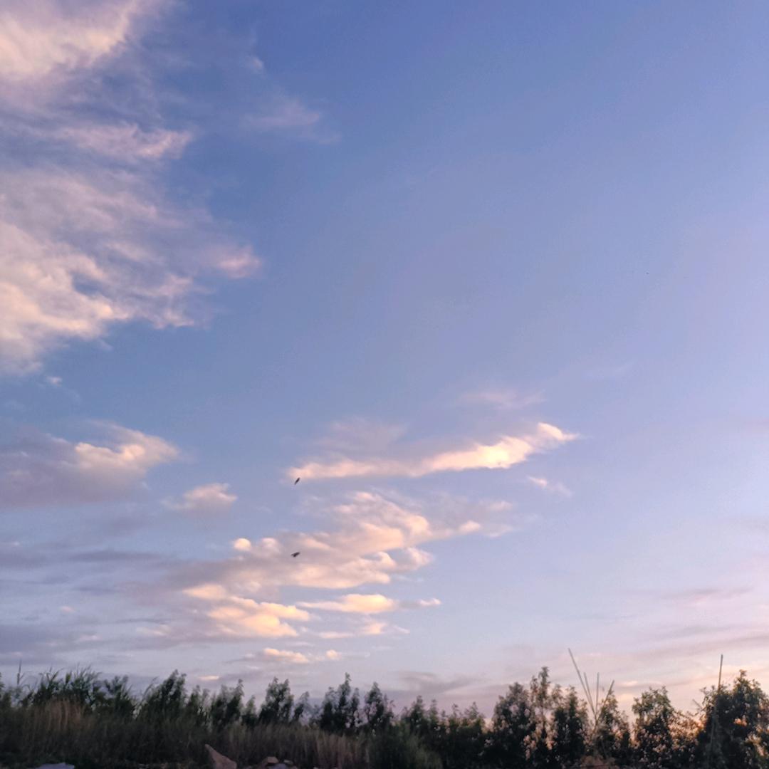 A阳光总在风雨后