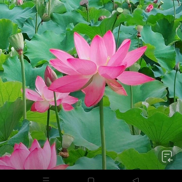 💞ꦿ᭄ღ不᭄念過ཽ࿆往᭄💞