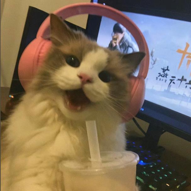 尽欢