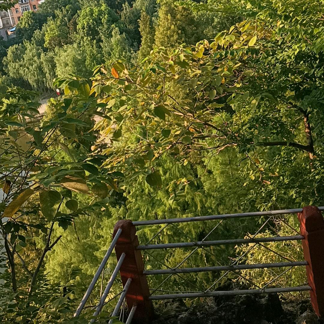玉