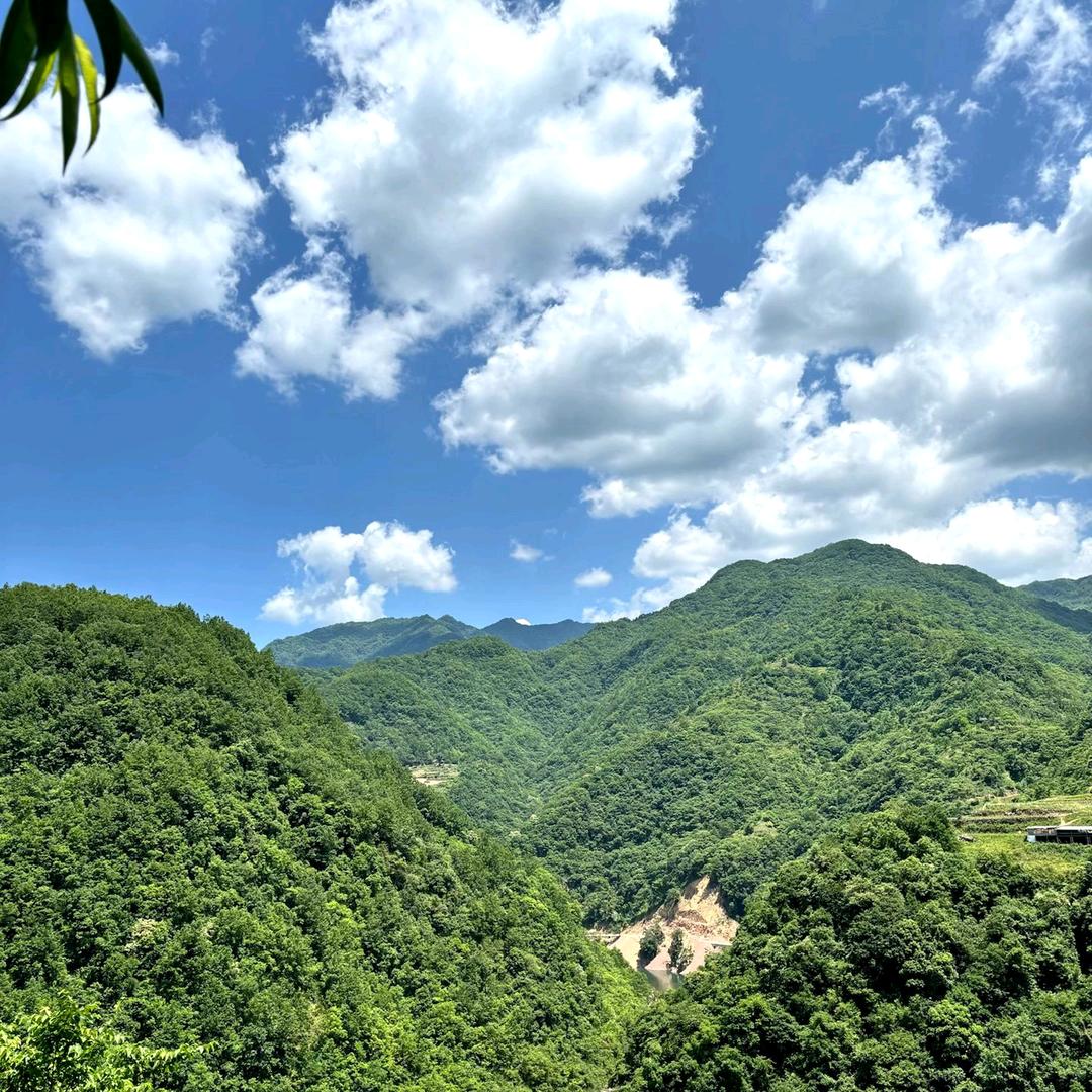 胡明书