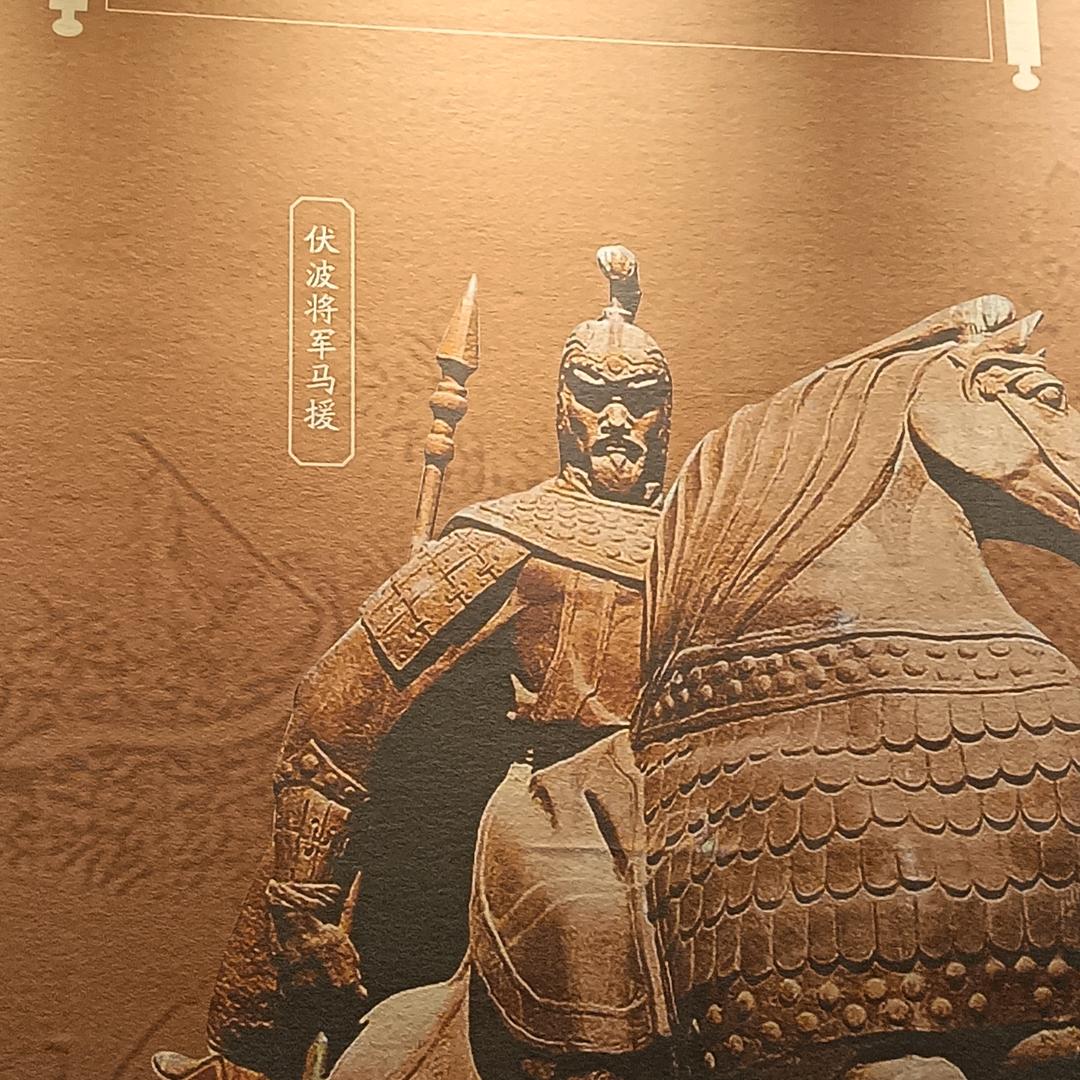 观看历史