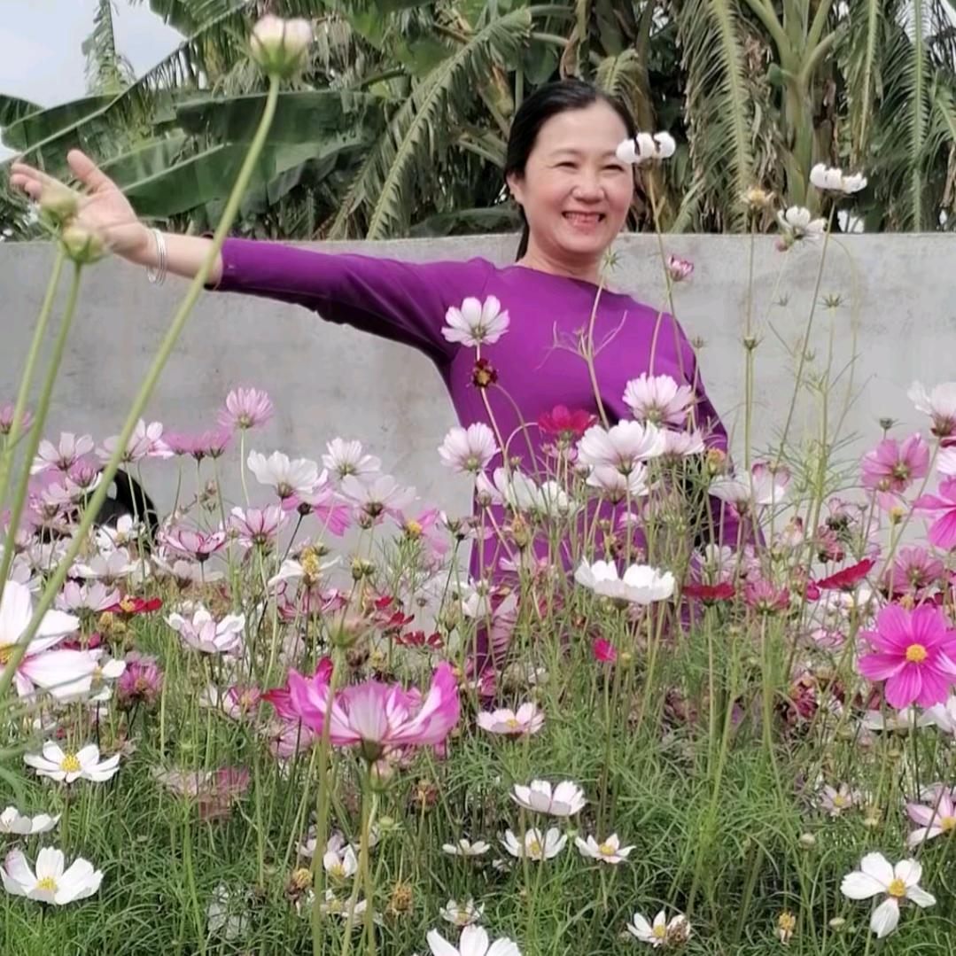 开心姐（晚上8：00首播）