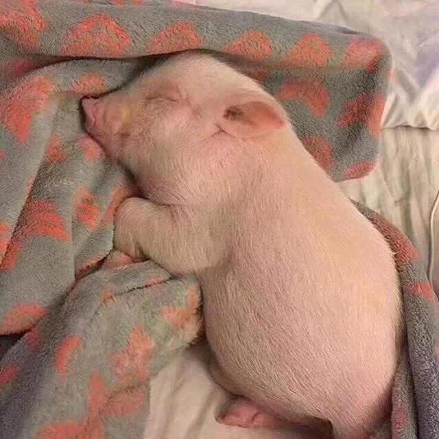 她们 都叫我憨憨😢