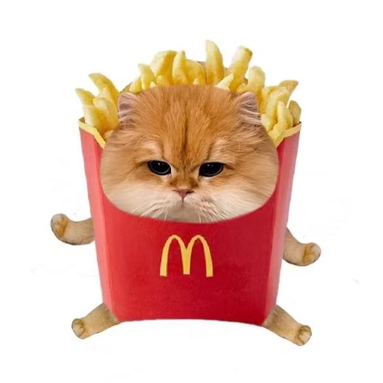 猫薯条