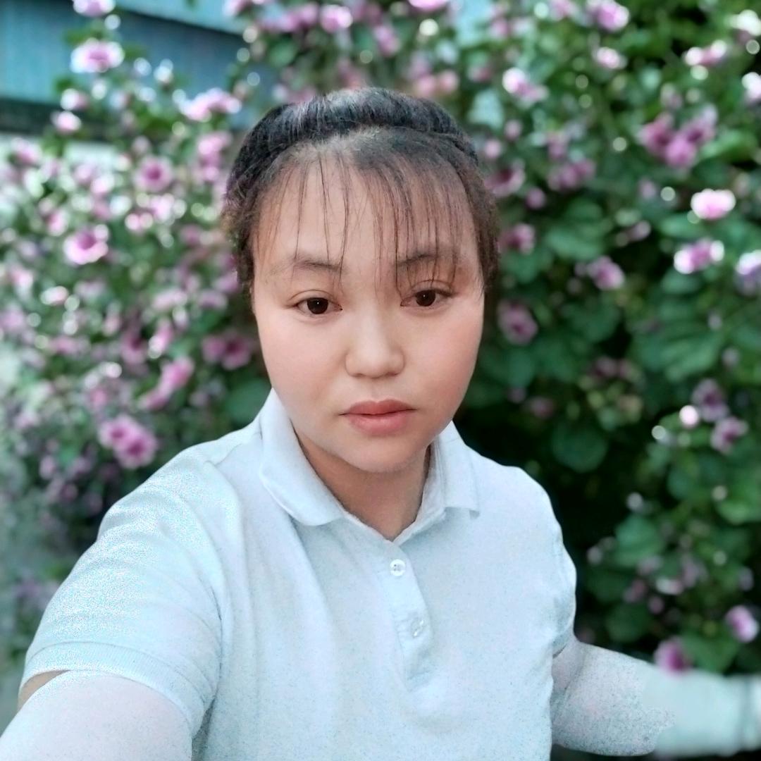 小琴