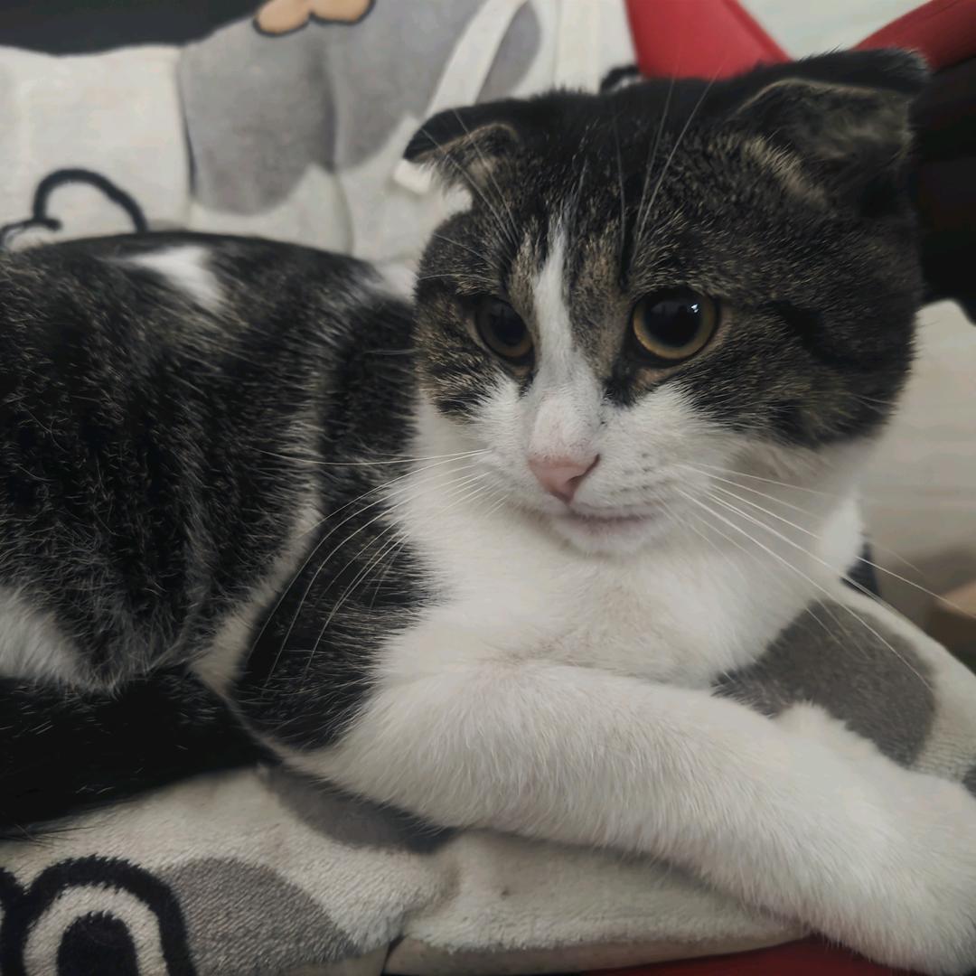 有福同赏，扶真沙爱，快直播（我要看）