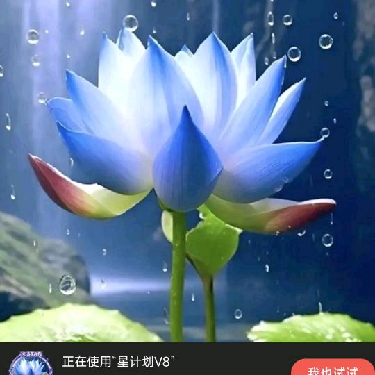 …观隐