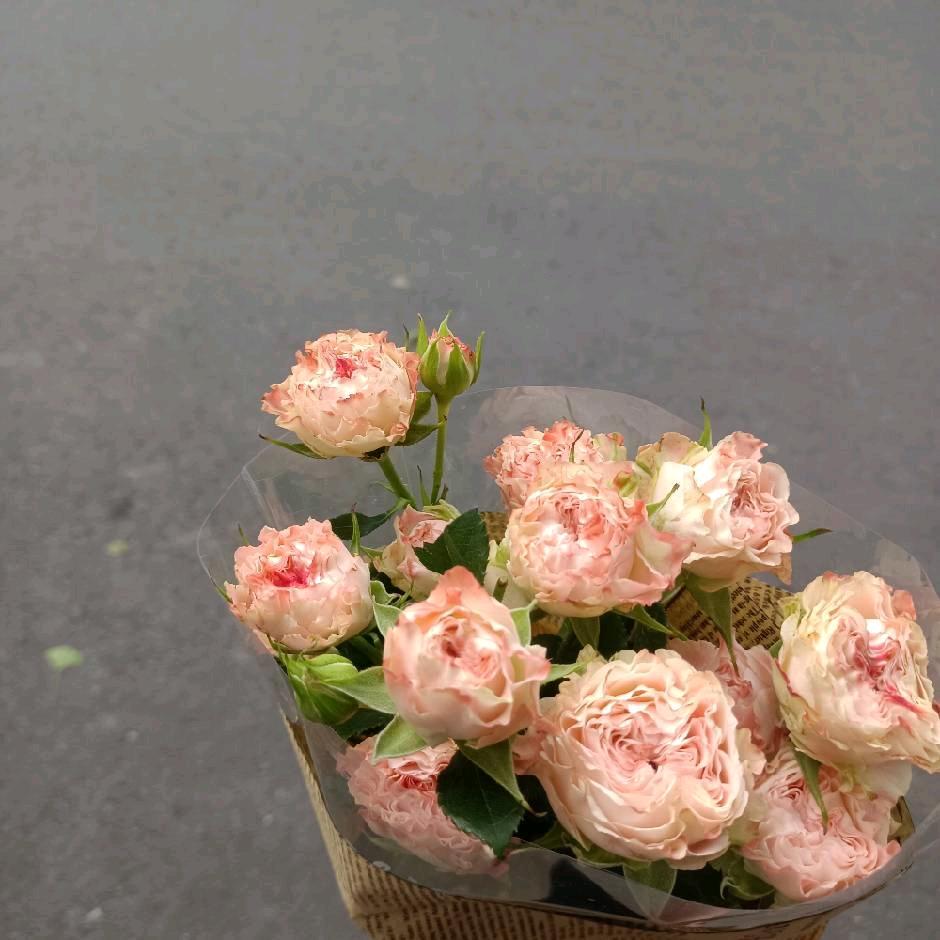 团子（团团团子）