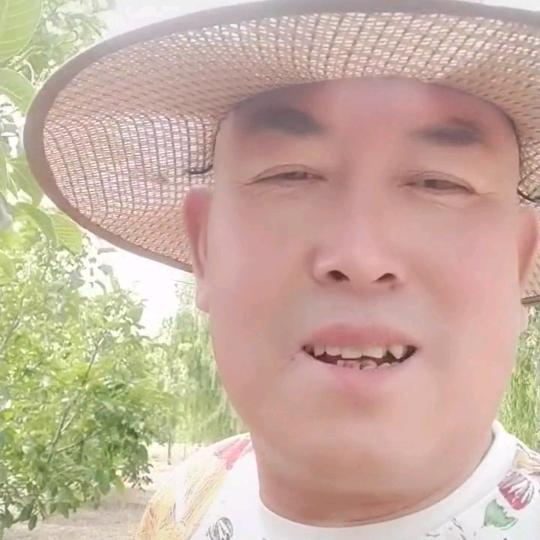 乡村老杨