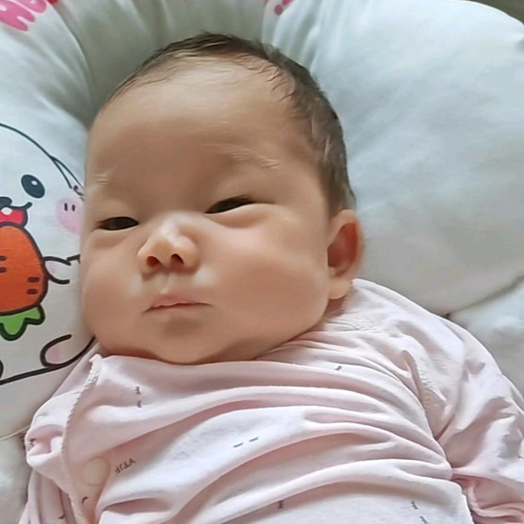 qingdjdjkabxxj3890