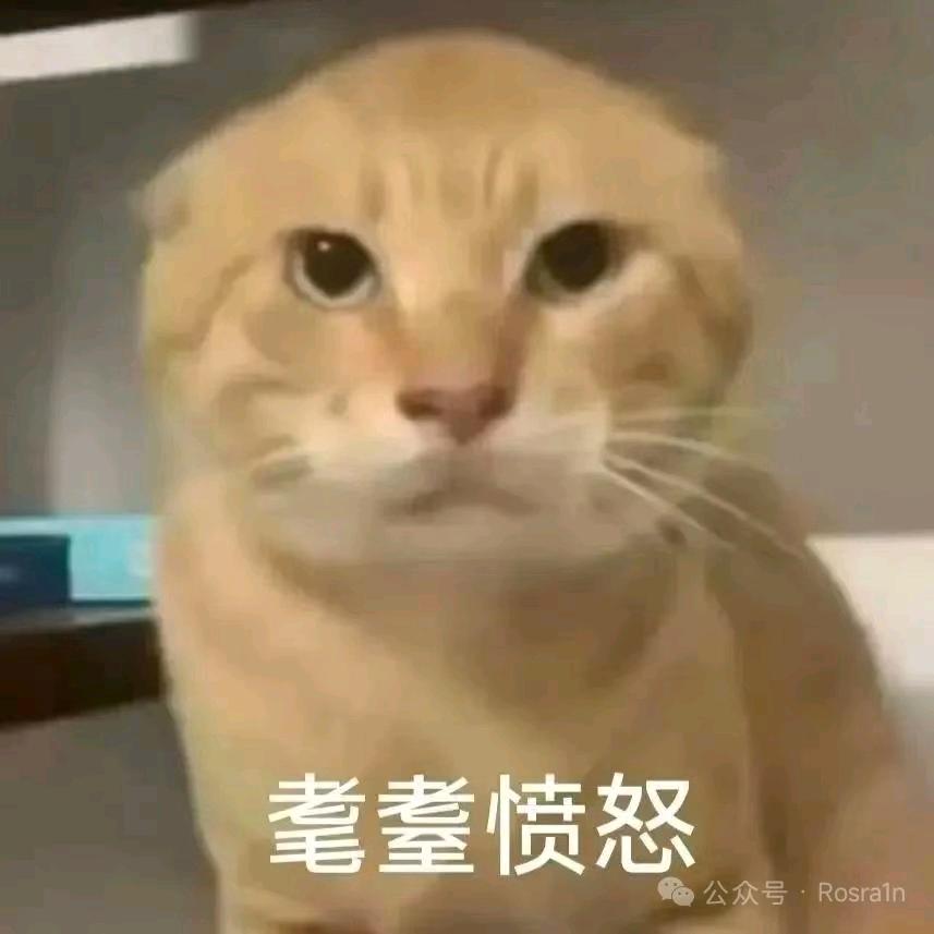 社交孔布分子