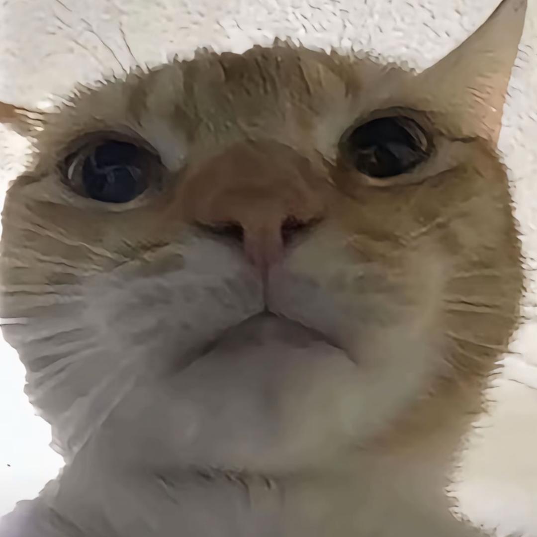 长寐