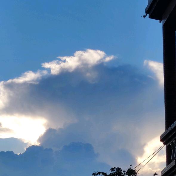 祸雨