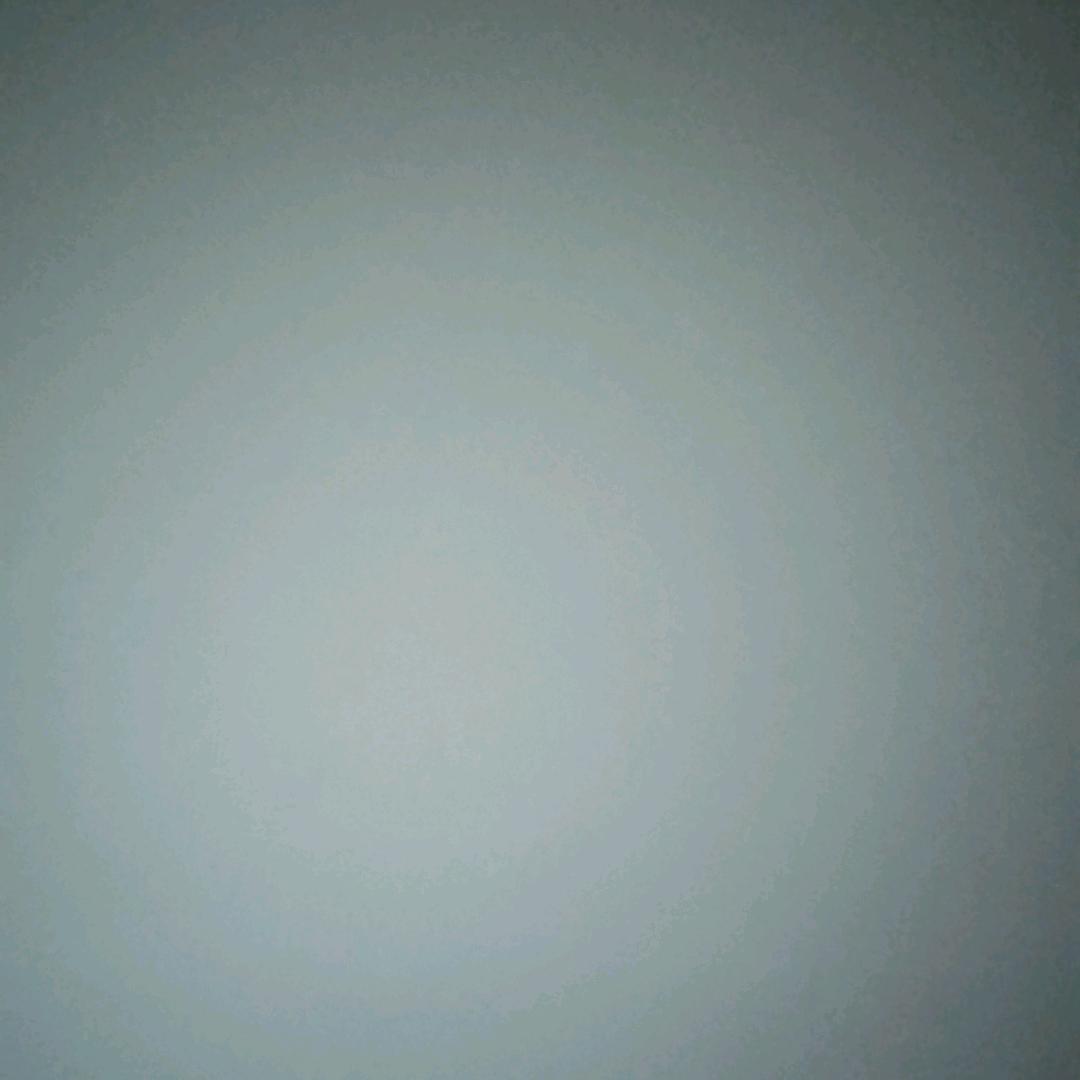 乐乐-凝赐竹