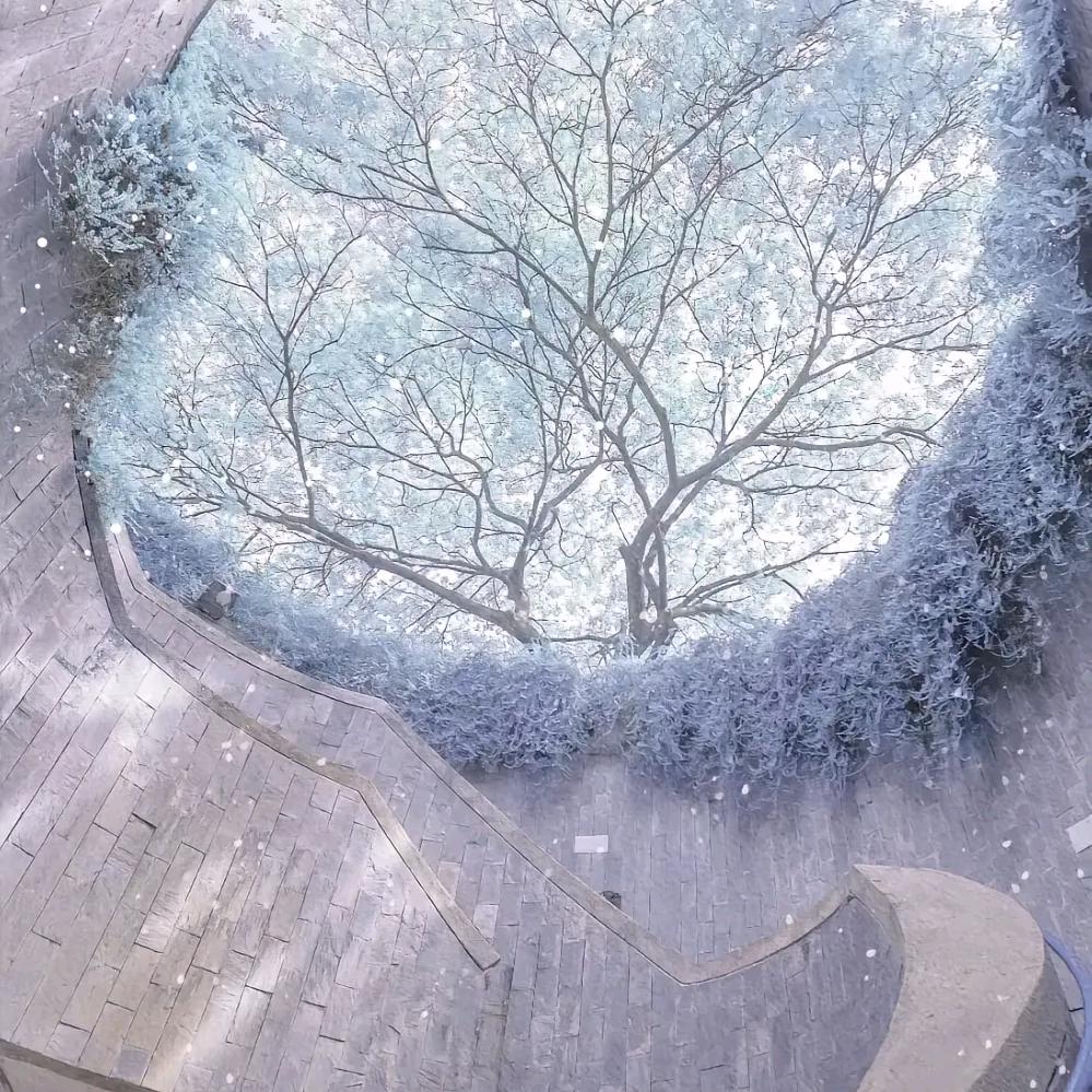 拾柒