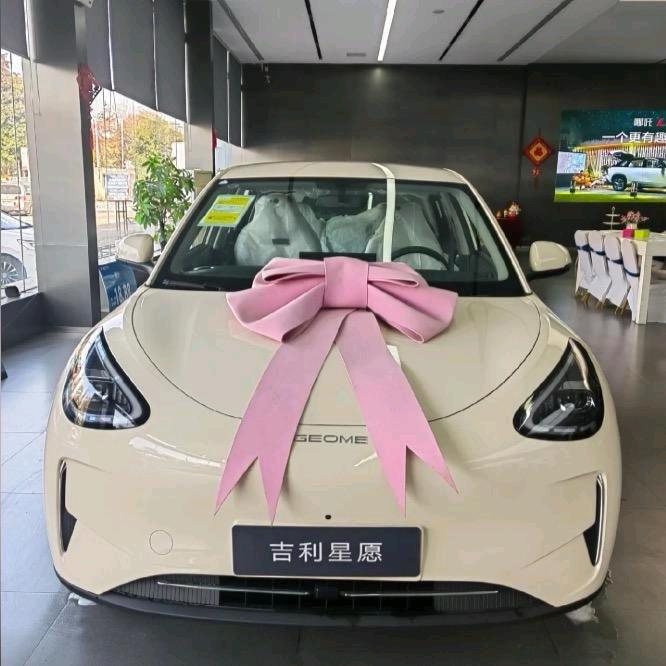 小濠星汽车用品旗舰店