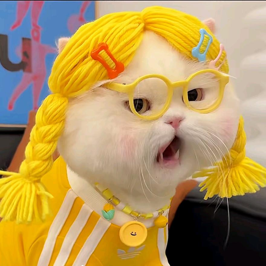 有容