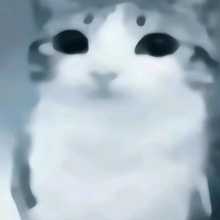 小Y111