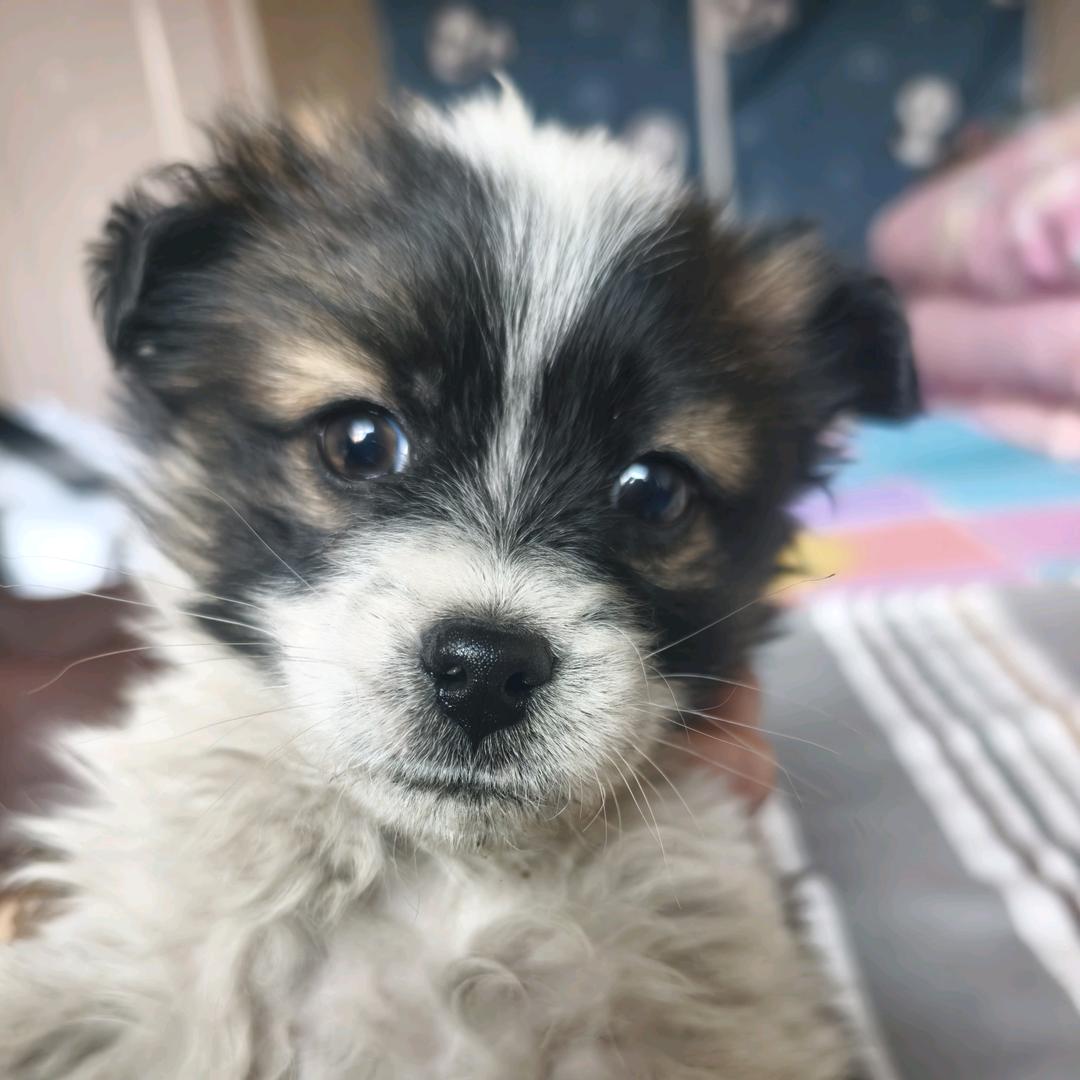 好男人，中国造！