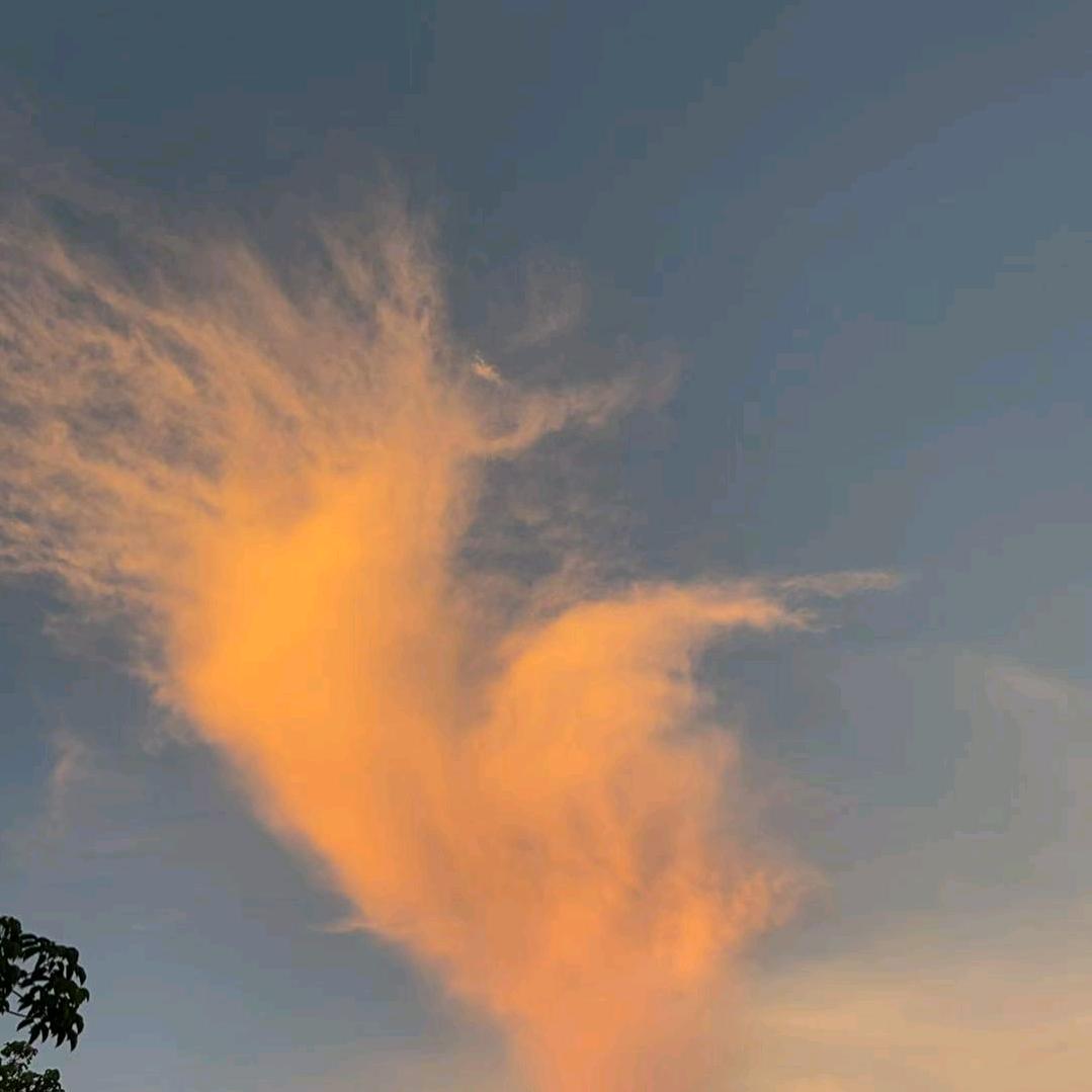 许星期