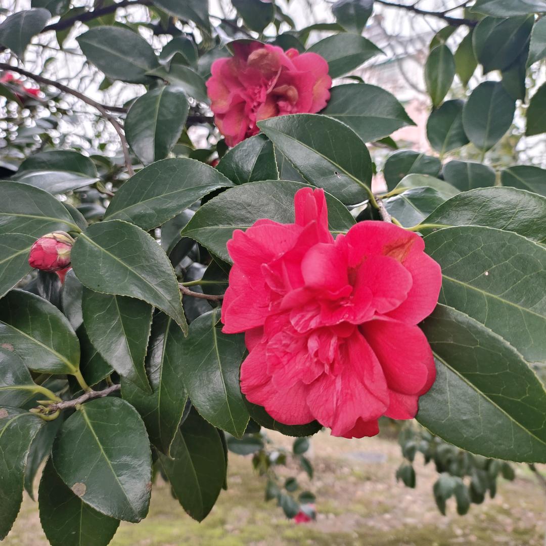 用户4282825199611漫天雨