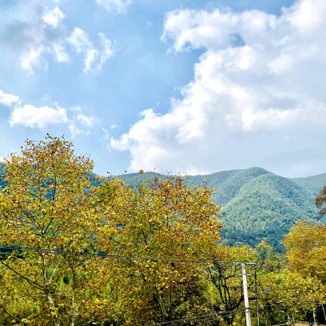 杰哥的民宿乡野生活