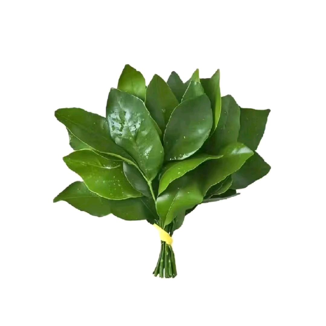 淡点