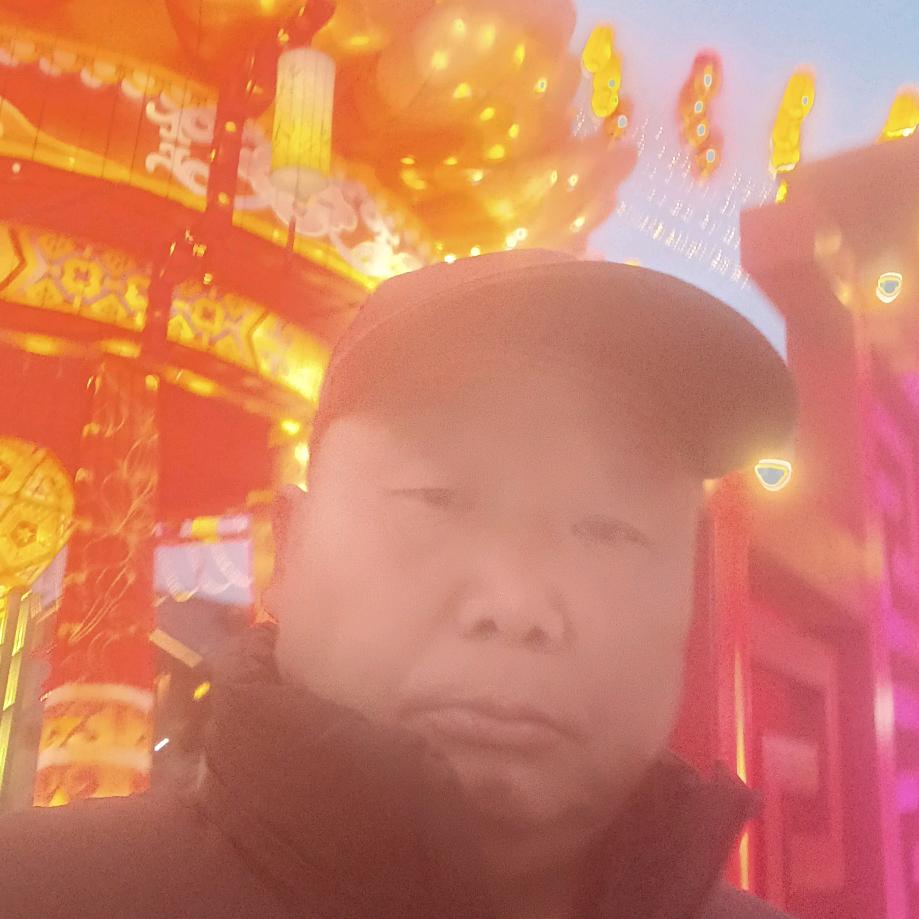 高飞