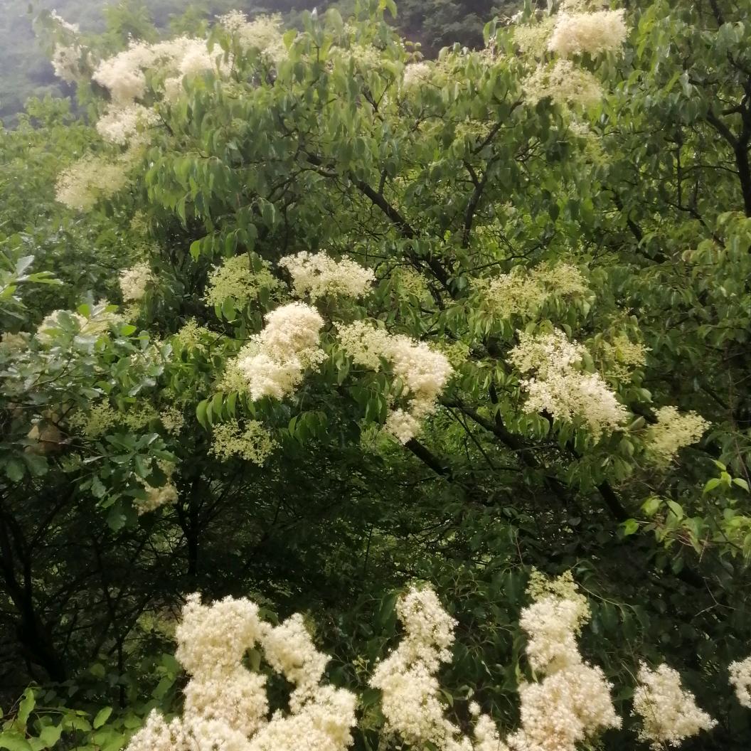 梦128