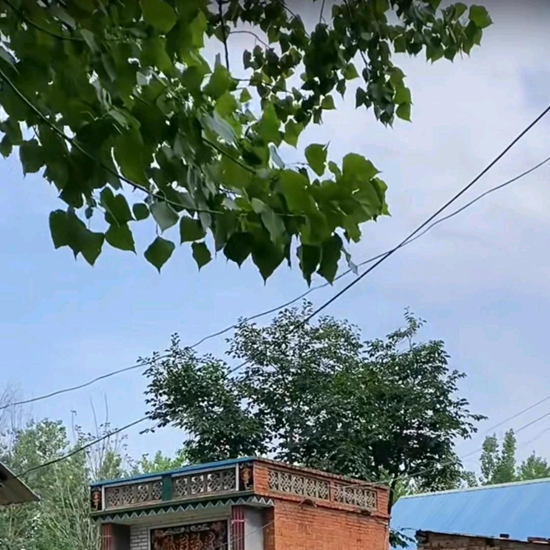兰收百货店