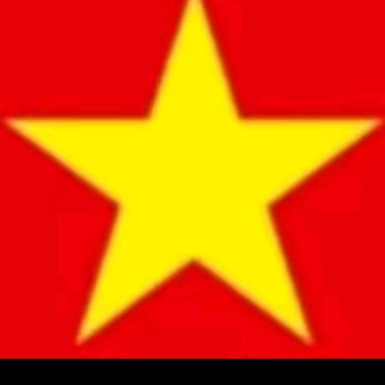 秦安玲❤️好物在橱窗有福同享❤️❤