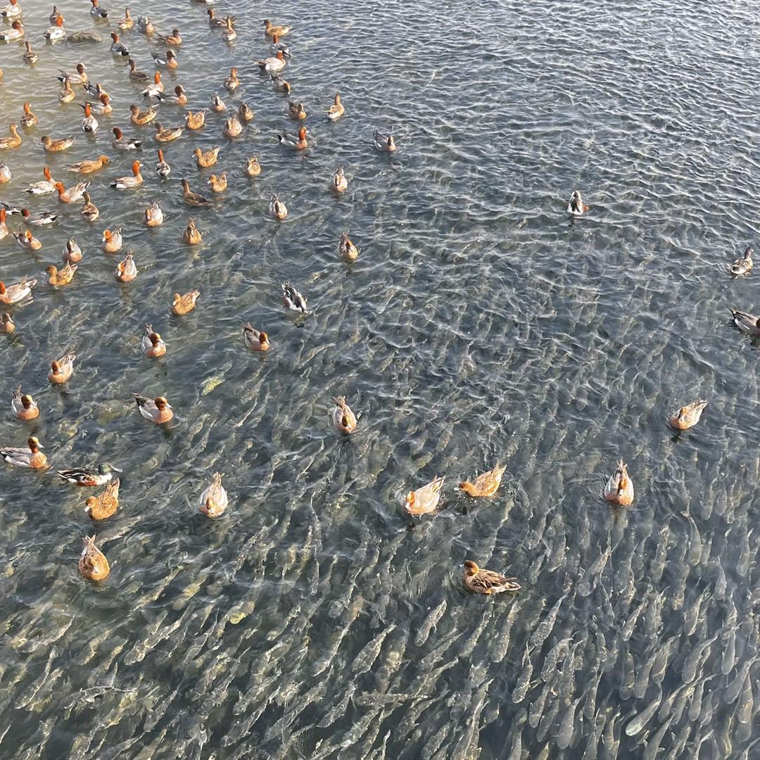异端