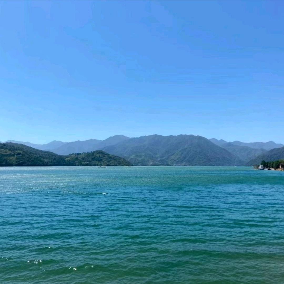 💖海🐟洋💖