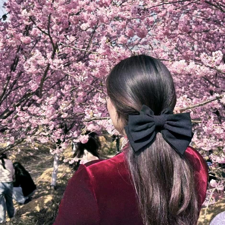 记忆是唯一的行李.