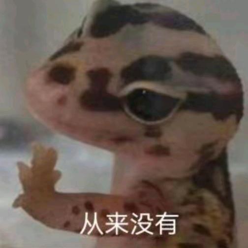 叶子.