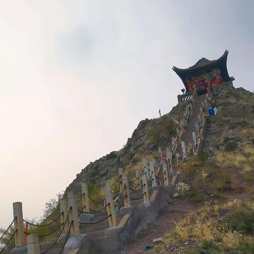 向阳花😊（新人首播）