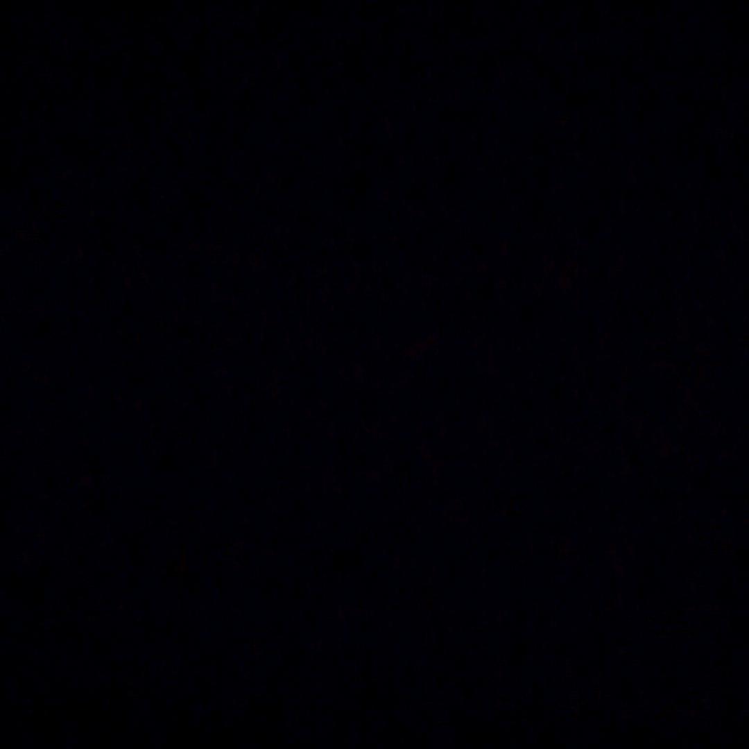 風貓聆椿-