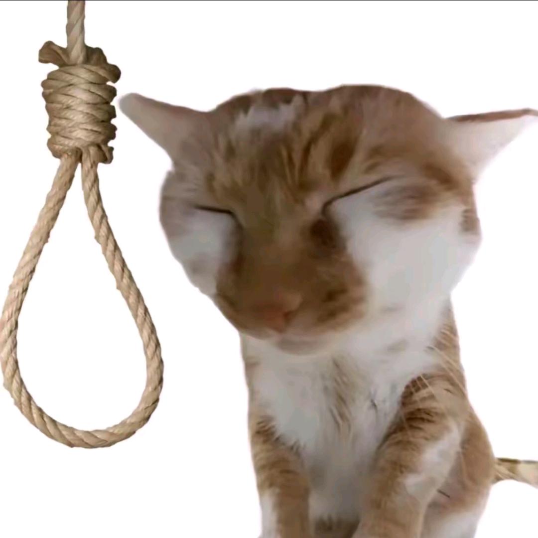 我有的是力气和手段